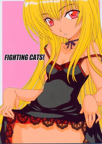 Amazing Fighting Cats!- Black cat hentai Drama