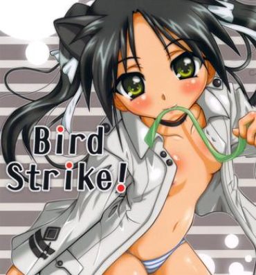 Joven Bird Strike!- Strike witches hentai Celeb