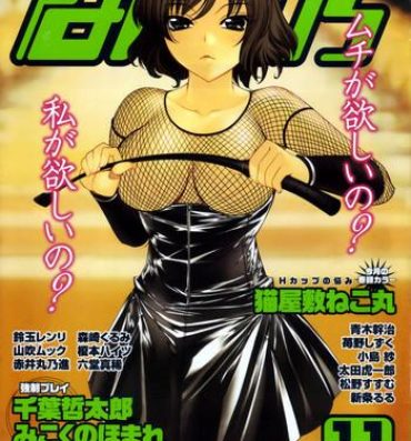 Lez Manga Bangaichi 2006-11 Gay Shop