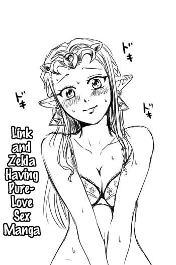 Breasts Link to Zelda ga Jun Ai Ecchi suru Manga- The legend of zelda hentai Dildos